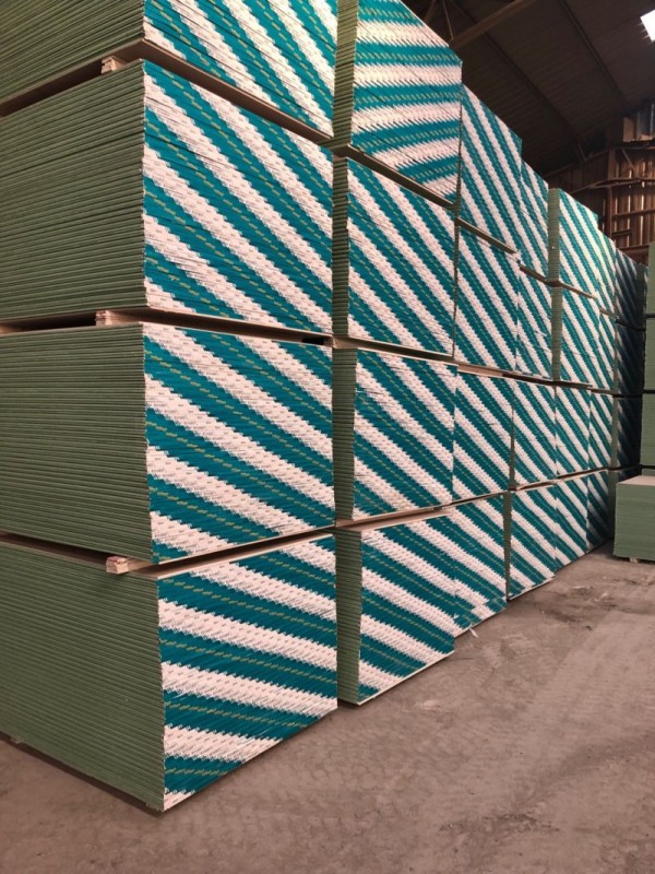 Gypsum board